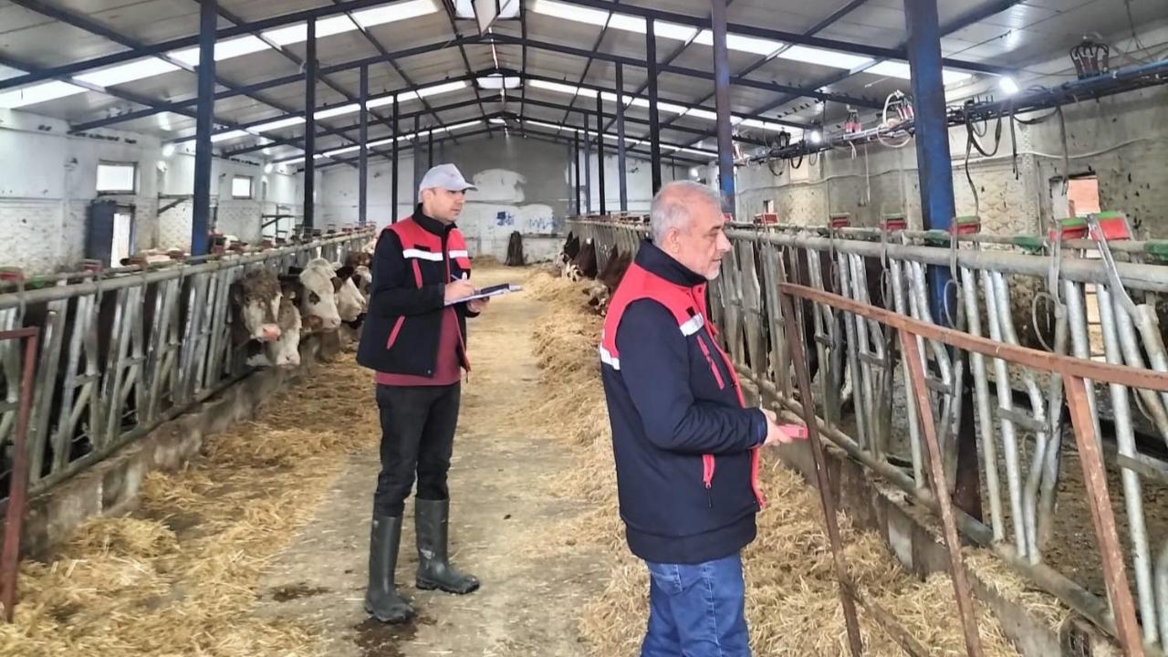 Besicilik İşletmelerinde Kapasite Ölçümleri Sürüyor