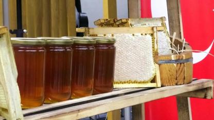 Dünyanın En Pahalı Balı Türkiye’den Guinness Rekorlar Kitabı’na Girdi