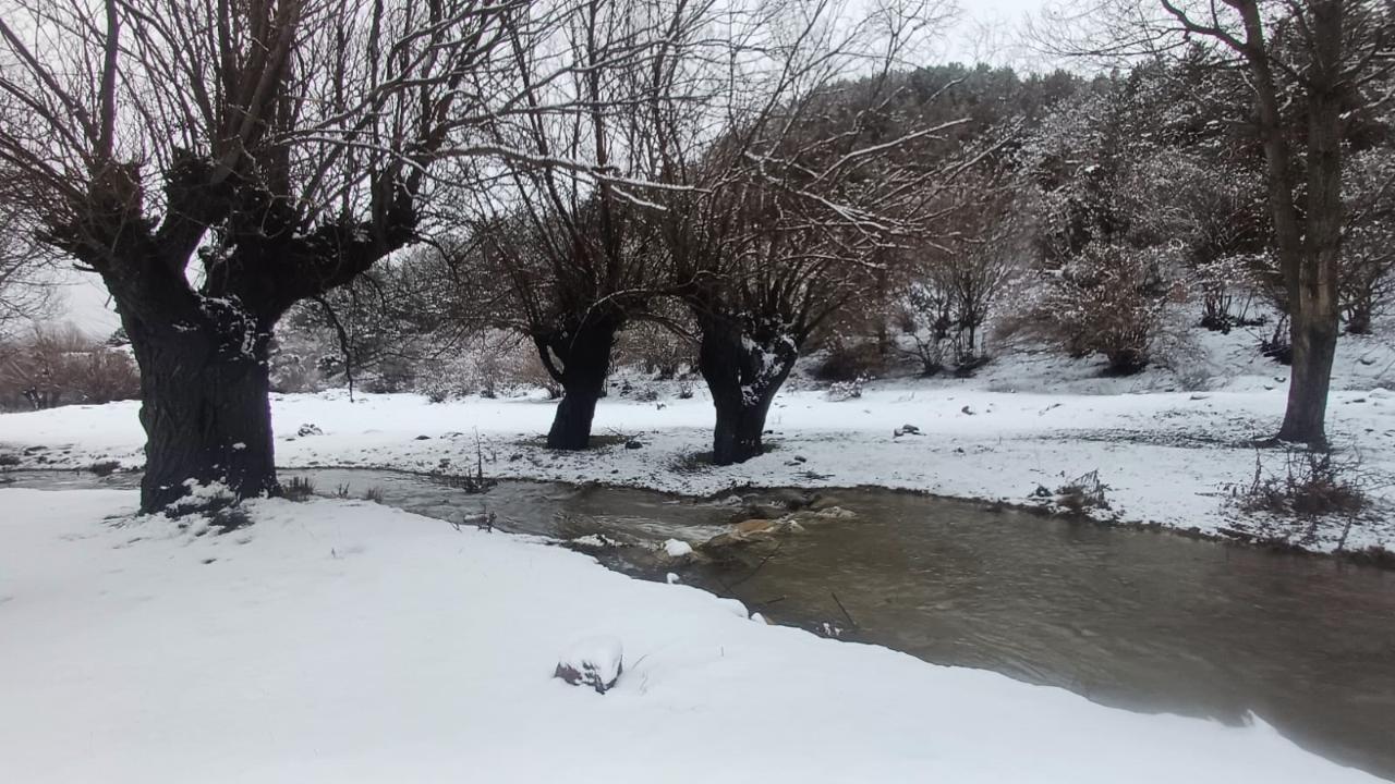 Erçolak Yine Olağan Dışı Fotoğraflar Çekti