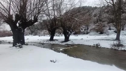 Erçolak Yine Olağan Dışı Fotoğraflar Çekti