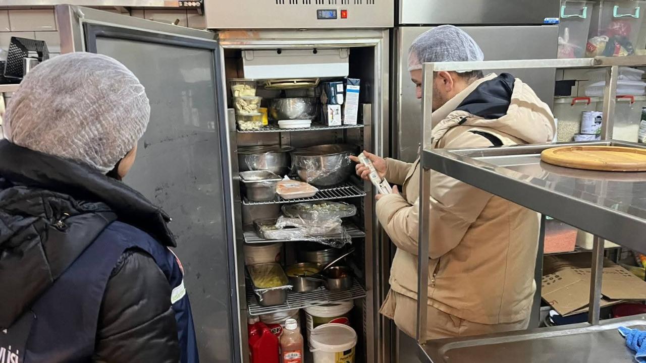 Gıda işletmelerine yönelik denetim
