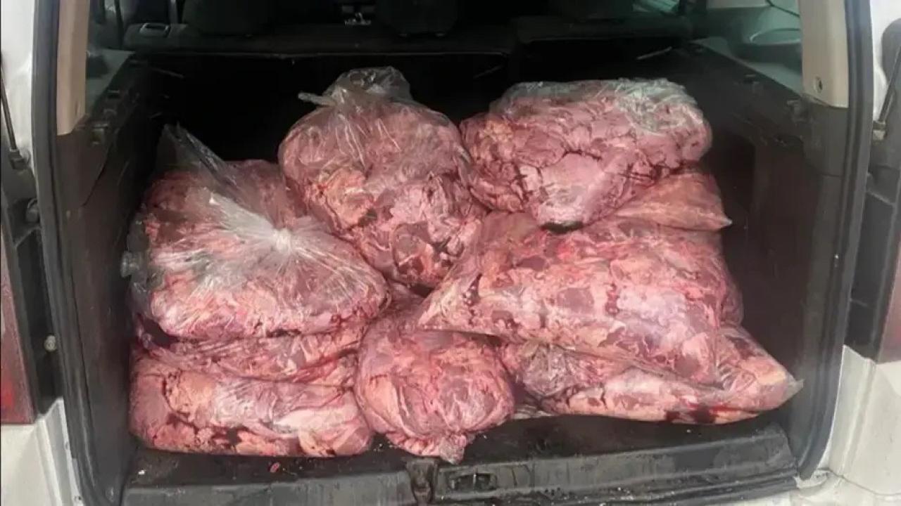 Gıda Operasyonu: 450 Kilogram Bozuk Et Ele Geçirildi