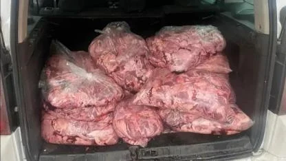 Gıda Operasyonu: 450 Kilogram Bozuk Et Ele Geçirildi