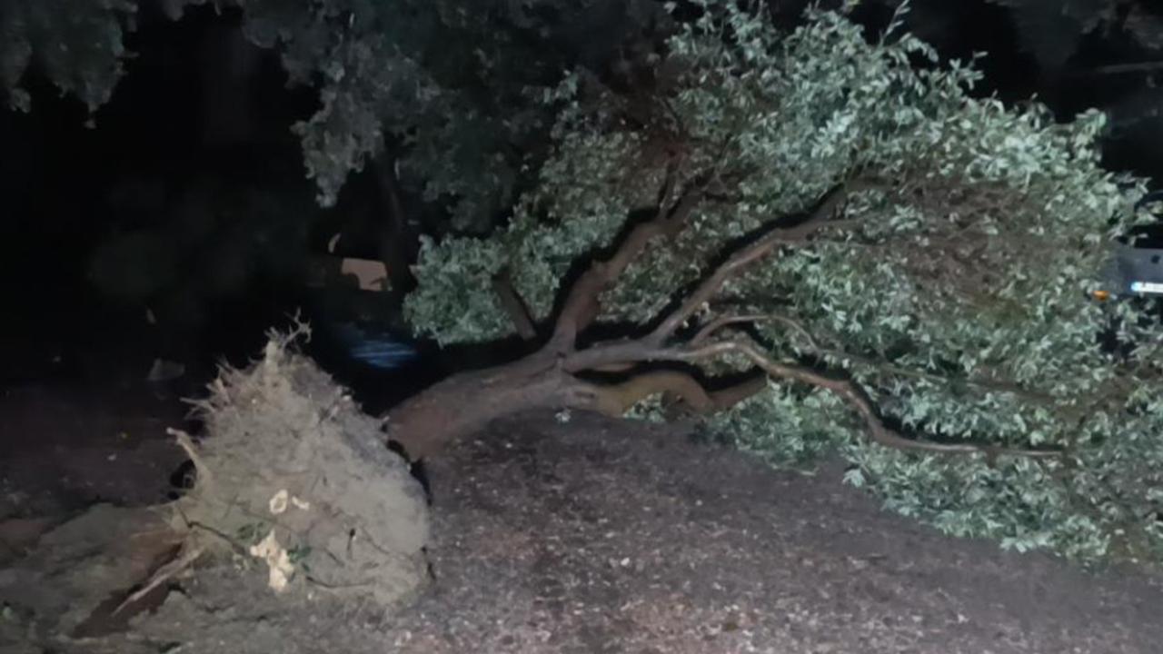 Hortum Manavgat’ı Savaş Alanına Çevirdi: Çatılar Uçtu, Seralar Yıkıldı