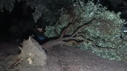 Hortum Manavgat’ı Savaş Alanına Çevirdi: Çatılar Uçtu, Seralar Yıkıldı