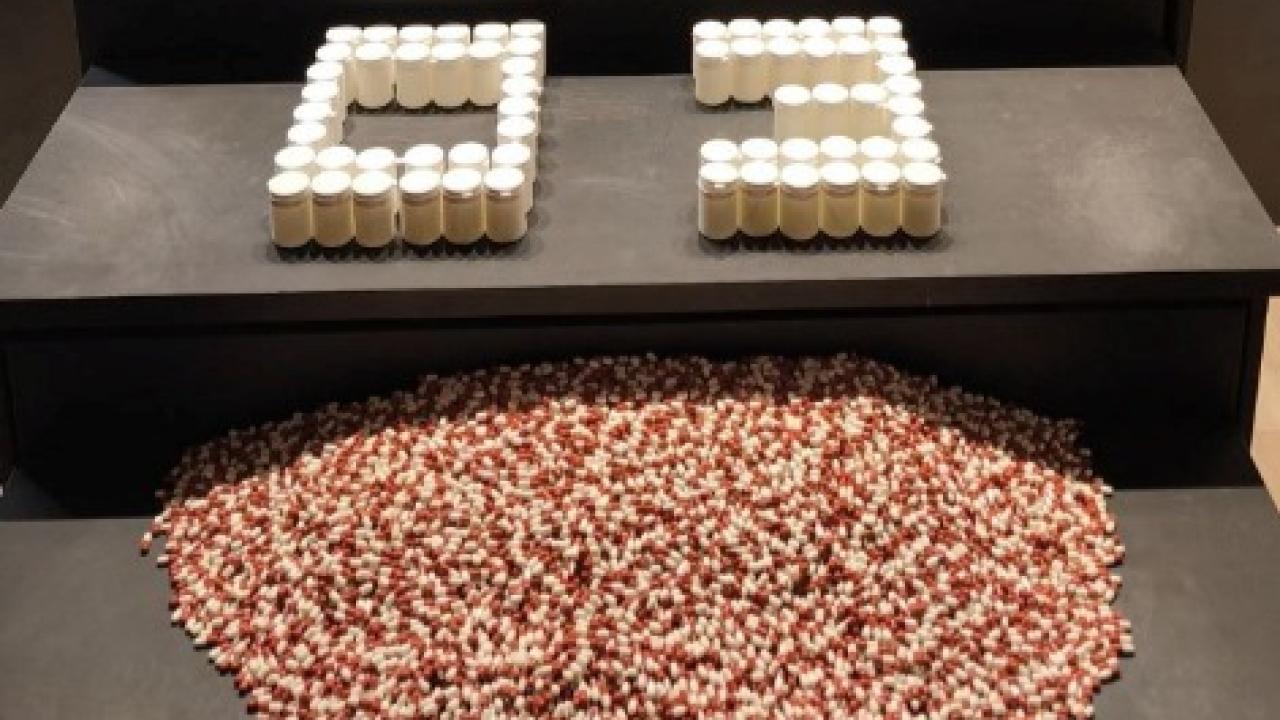 Köy Ortasında Zehir Operasyonu: 11 Bin 982 Hap Ele Geçirildi