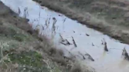 20 Yıl Kuru Kalan Alparslan Çayı’nda Sular Yeniden Aktı