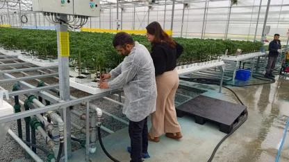 Afyon’da Sertifikalı Fide Denetimleri 2026 Üretim Sezonu İçin Sürüyor