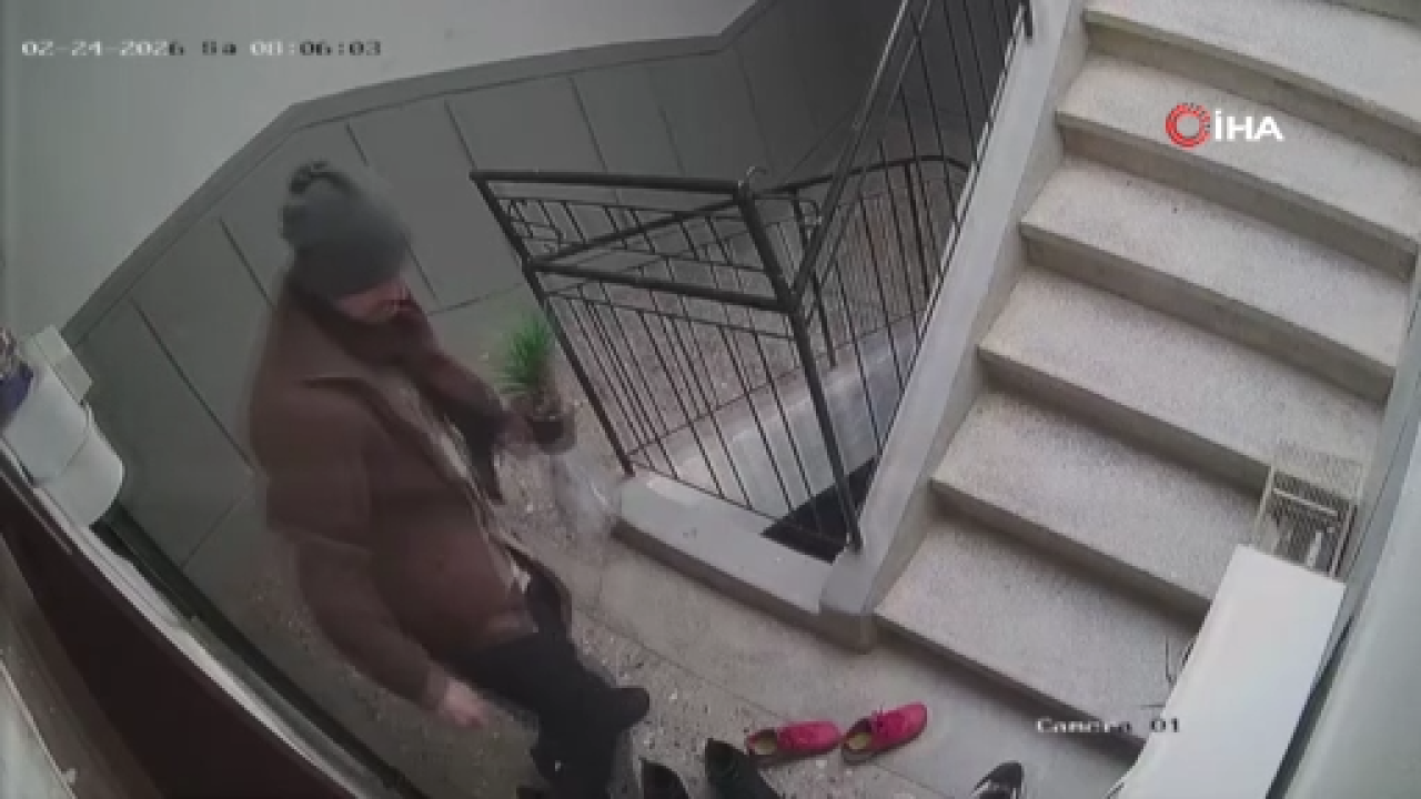 Ayakkabıların Markasına Baktı, Beğenmeyince Çiçeği Çaldı