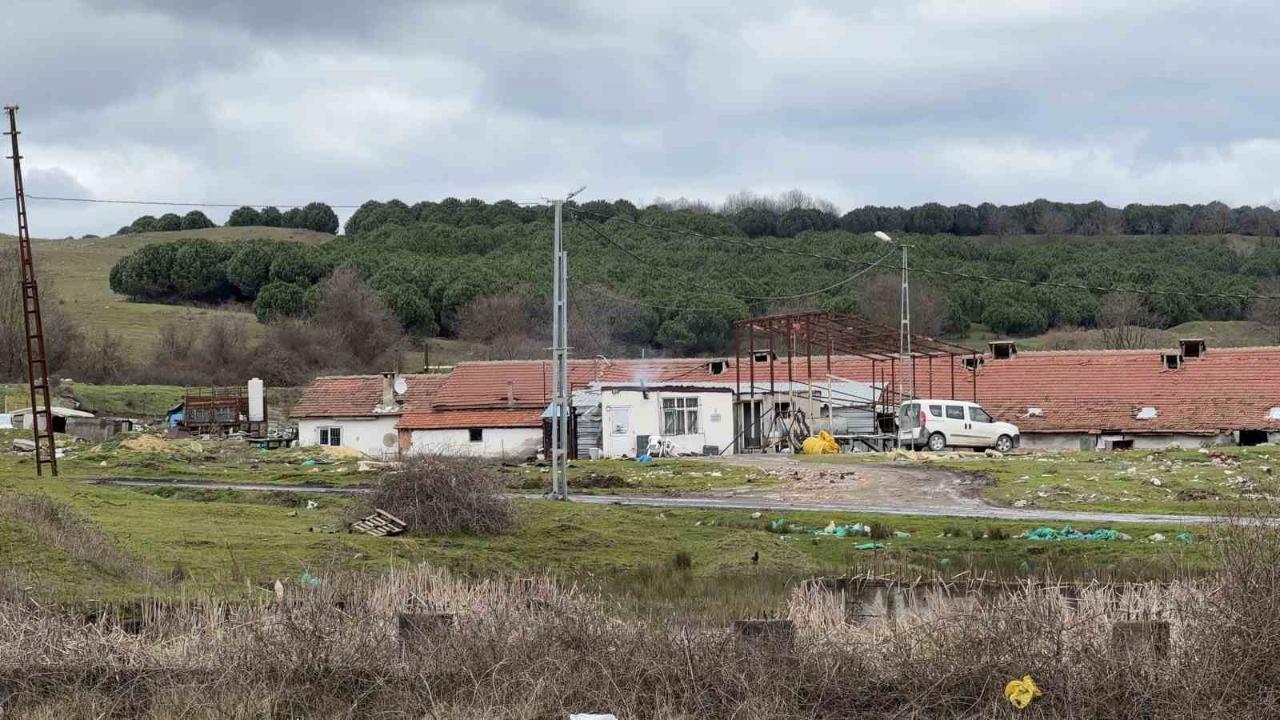 Çiftlik Evinde Korkunç Olay! Boynuna Testereyle Saldırdı