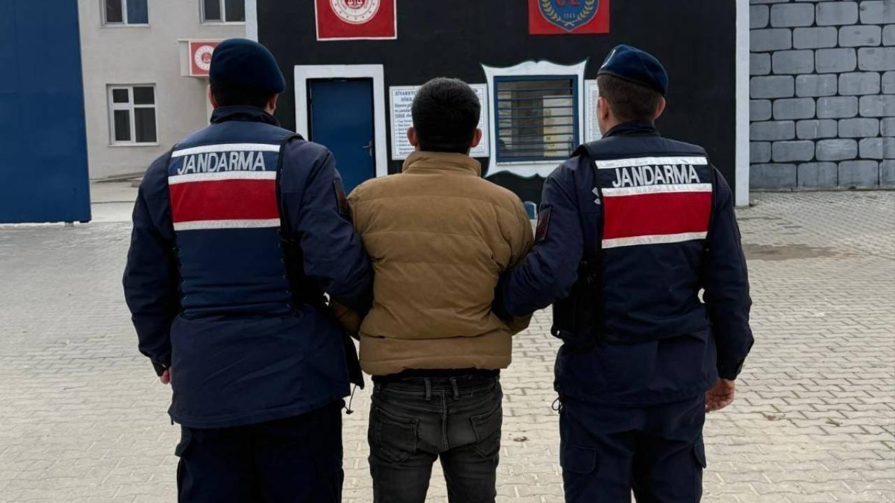 Jandarmadan Aranan Şahıslara Yönelik Operasyon: 50 Yakalama