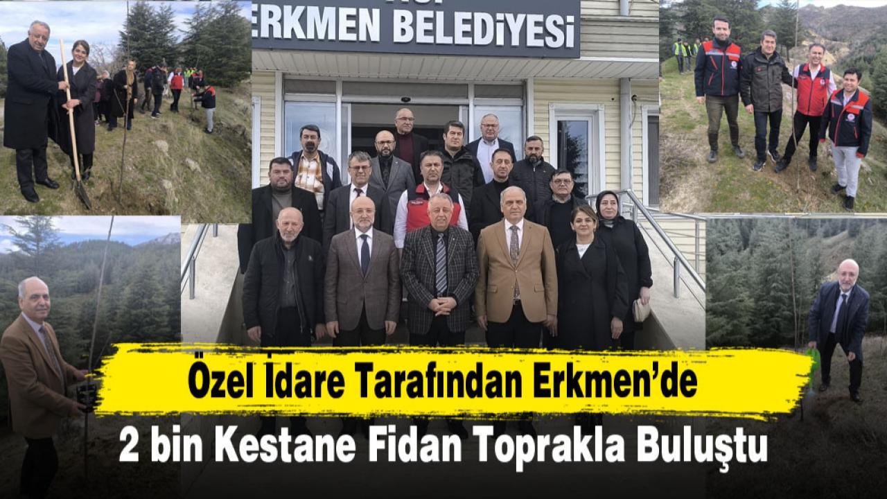 Özel İdare Tarafından Erkmen’de 2 bin Kestane Fidan Toprakla Buluştu