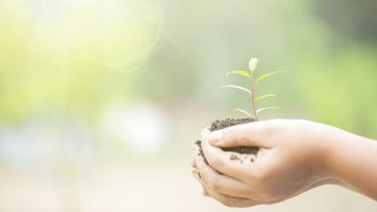 Anlam Arayışı: İnsan Neden Hayatın Anlamını Sorgular?