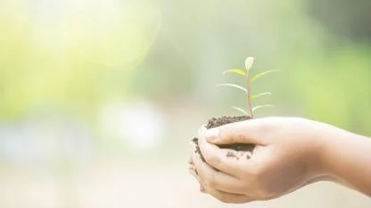 Anlam Arayışı: İnsan Neden Hayatın Anlamını Sorgular?