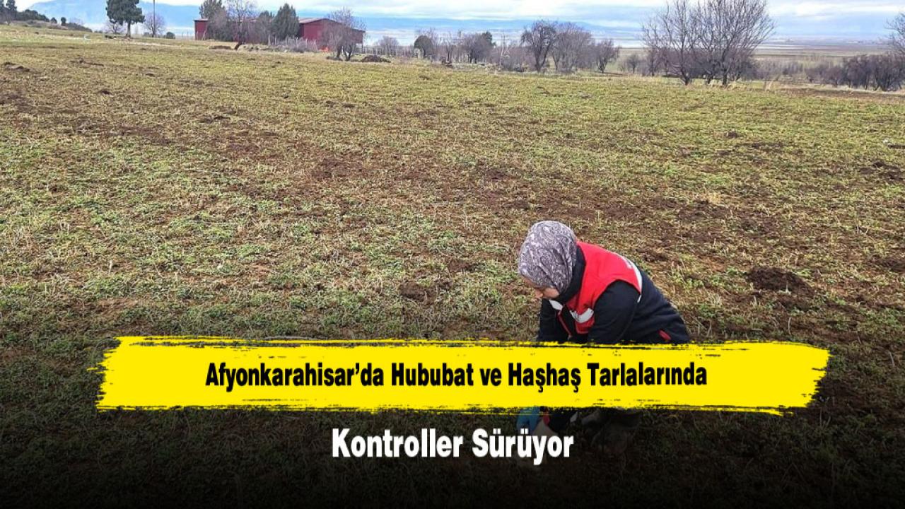 Afyonkarahisar’da Hububat ve Haşhaş Tarlalarında Kontroller Sürüyor