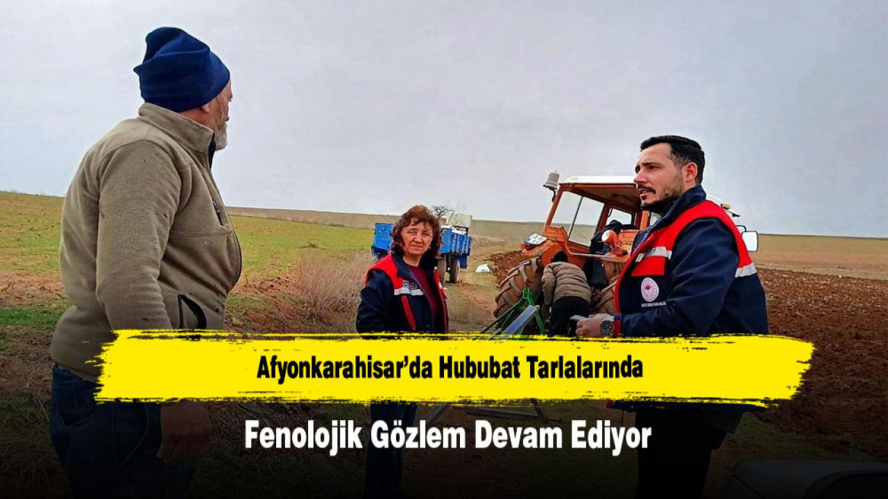 Afyonkarahisar’da Hububat Tarlalarında Fenolojik Gözlem Devam Ediyor