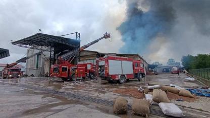 Sakarya’da Şekerleme Fabrikasında Yangın: Ekipler Müdahale Ediyor!