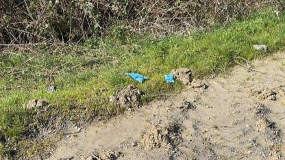 İstanbul'da Çinli İş İnsanı Yong Wang'ın Feci Ölümü: Elleri, Ayakları ve Ağzı Koli Bandıyla Bağlı Bulundu!