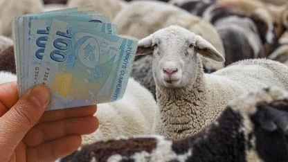 “Kırsalda Bereket, Küçükbaşa Destek” 2026: 2 Yıl Geri Ödemesiz Kredi ve Başvuru Şartları Açıklandı!