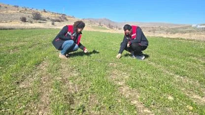 Afyonkarahisar’da Hububat Tarlalarında Fenolojik Gözlem Sürüyor