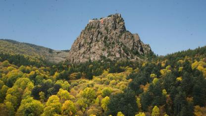 21 İlde Bazı Alanlar Orman Sınırları Dışına Çıkarıldı: Afyonkarahisar da Listede