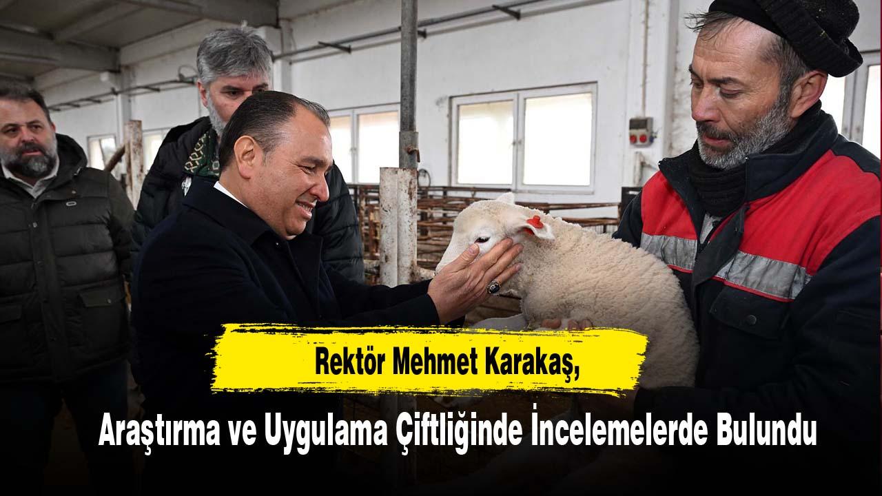 Rektör Karakaş, Araştırma ve Uygulama Çiftliğinde İncelemelerde Bulundu