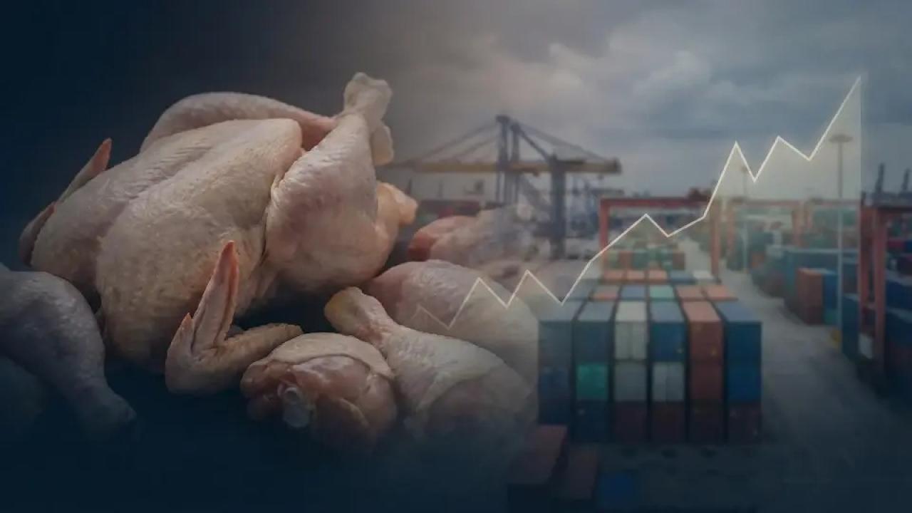 Ticaret Bakanlığı’ndan Kanatlı Eti İhracatına Durdurma Kararı Başladı