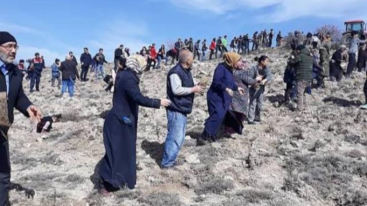 Afşar Köyü’nde 32 Yıllık Gelenek: Ağaç Bayramı İçin Geri Sayım Başladı