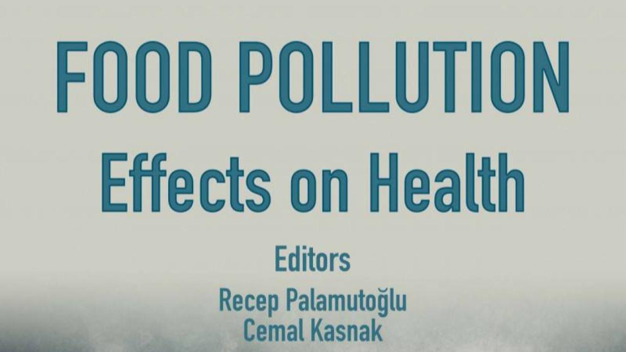 AFSÜ’Lü Öğretim Üyeleri İngilizce Kitap Yayınladı