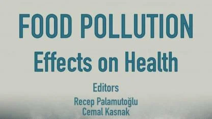 AFSÜ’Lü Öğretim Üyeleri İngilizce Kitap Yayınladı