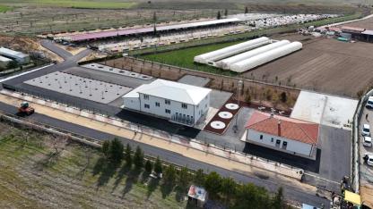 Afyon’da Sokak Hayvanları İçin Dev Proje: Kapasite 2 Bine Çıkarılıyor