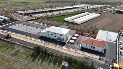 Afyon’da Sokak Hayvanları İçin Dev Proje: Kapasite 2 Bine Çıkarılıyor