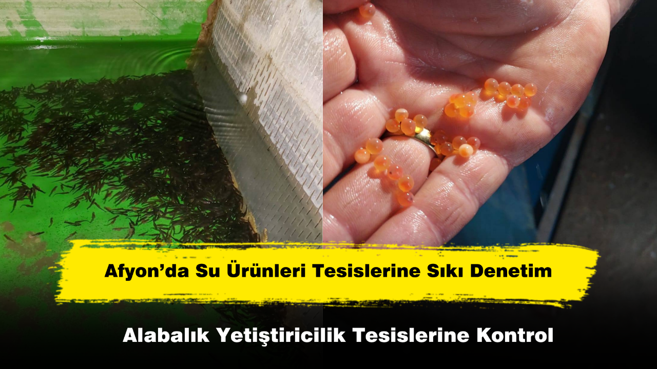 Afyonkarahisar’da Su Ürünleri Tesislerine Sıkı Denetim