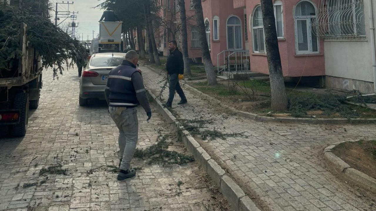 Bolvadin’de Bayram Öncesi Mahalle Bakım ve Ağaç Budama Çalışmaları Sürüyor