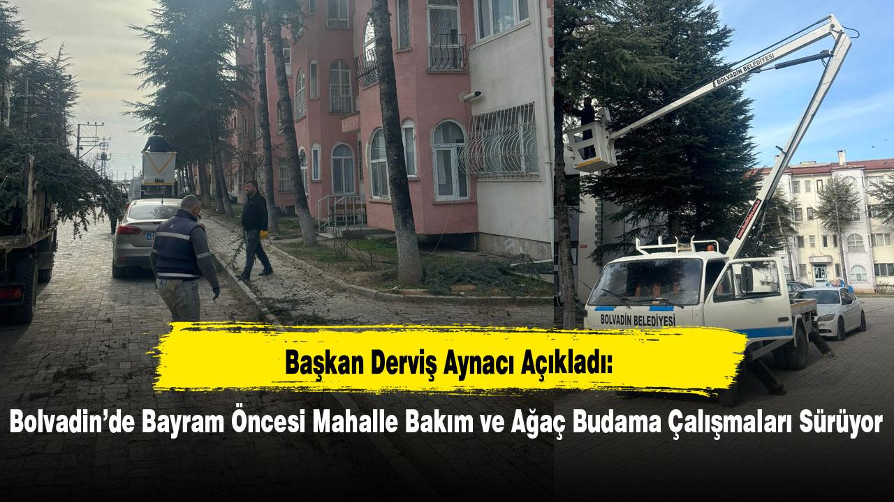 Bolvadin’de Bayram Öncesi Mahalle Bakım ve Ağaç Budama Çalışmaları Sürüyor