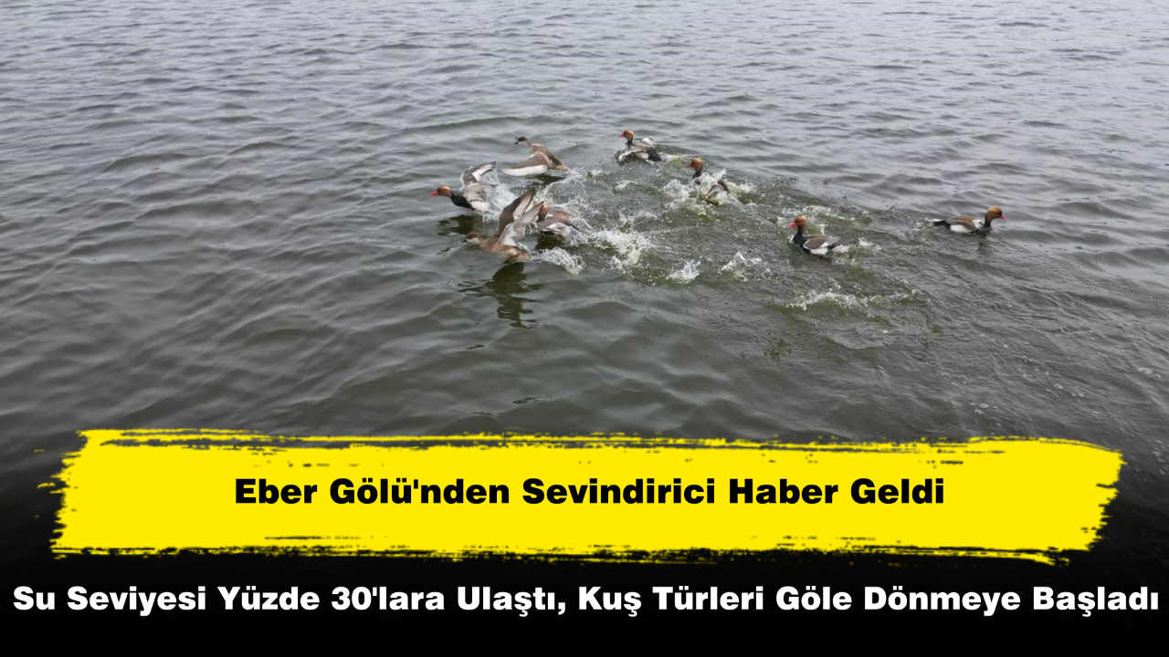 Eber Gölü Yeniden Canlanıyor! Su Seviyesi Yükseldi, Kuşlar Geri Döndü