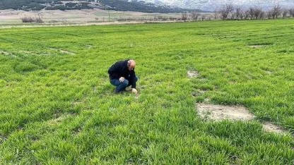 Afyonkarahisar’da Tarım Arazilerinde Sıkı Takip: Fenolojik Gözlem ve Zararlı Kontrolleri Sürüyor