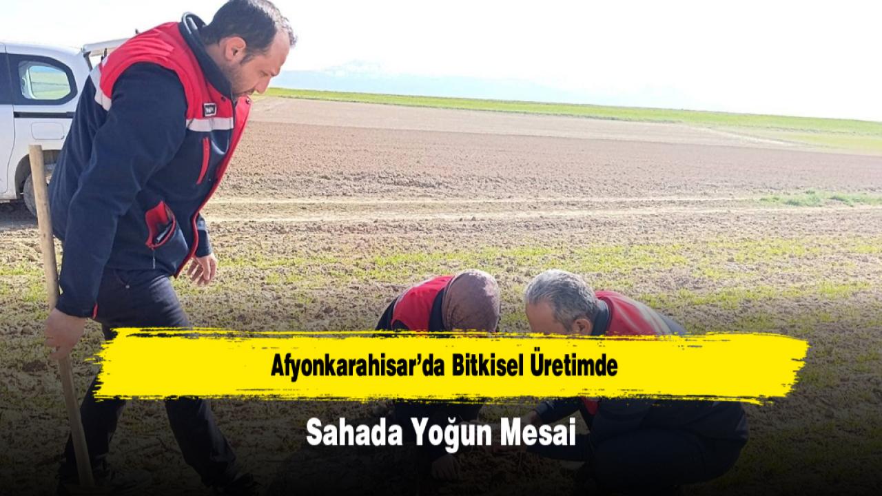 Afyonkarahisar’da Bitkisel Üretimde Sahada Yoğun Mesai
