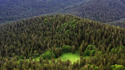 Milli Parklar Kanun teklifi TBMM’de kabul edildi: Yeni düzenlemeler yürürlüğe girecek