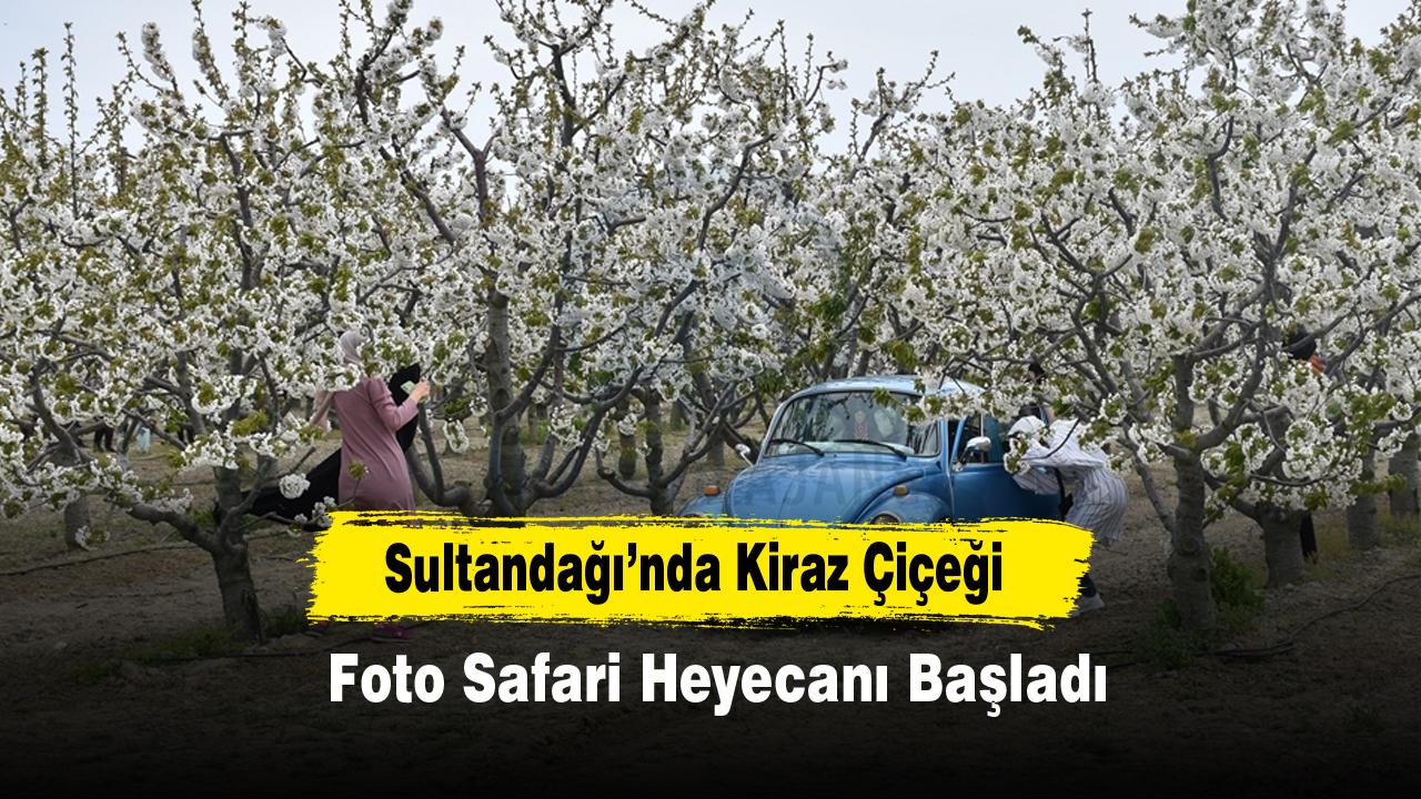 Sultandağı’nda Kiraz Çiçeği Foto Safari Heyecanı Başladı