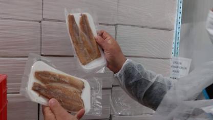 Afyonkarahisar’da Su Ürünleri Tesislerine Sıkı Denetim