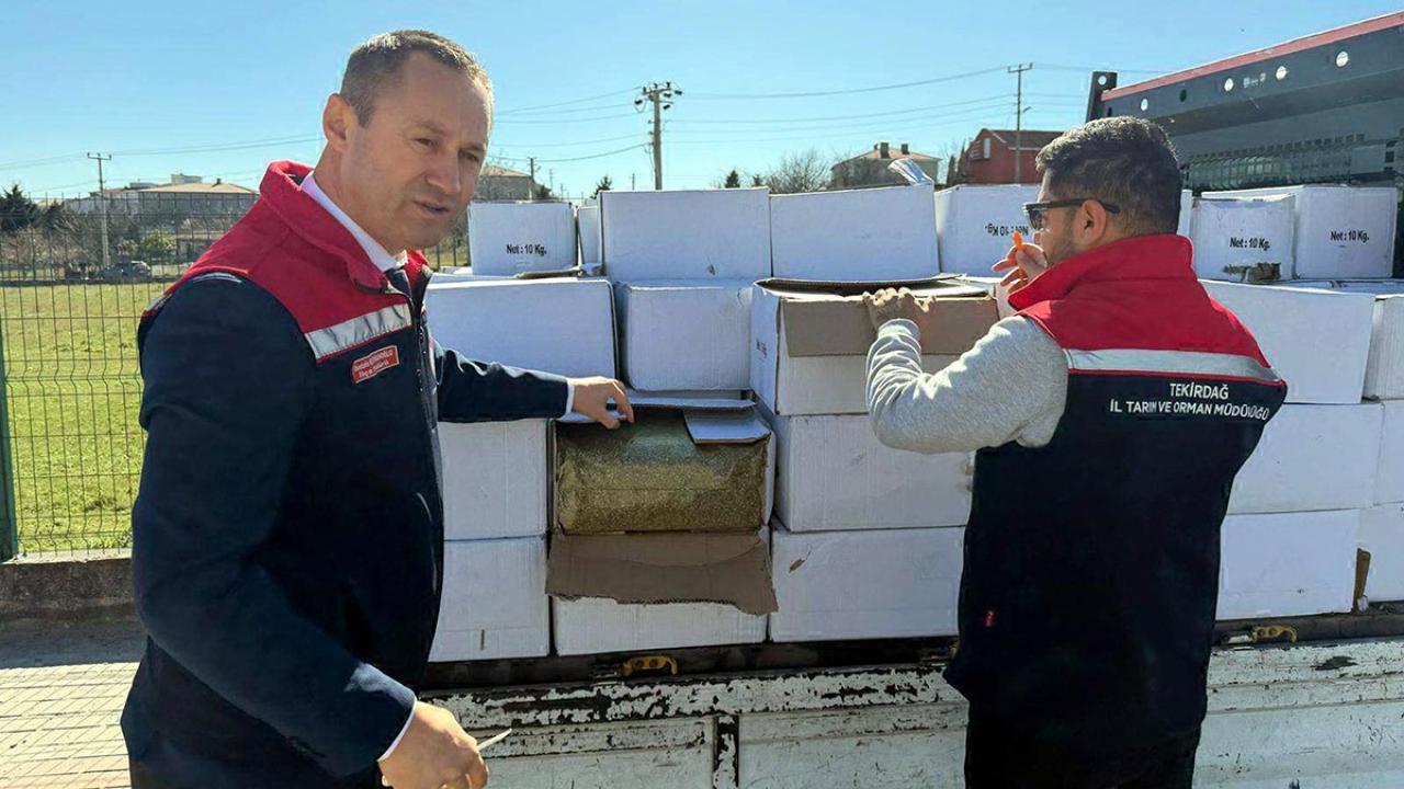 Tekirdağ’da 2 Ton Aflatoksinli Antep Fıstığı Ele Geçirildi: Tüketime Uygun Olmadığı Belirlendi!