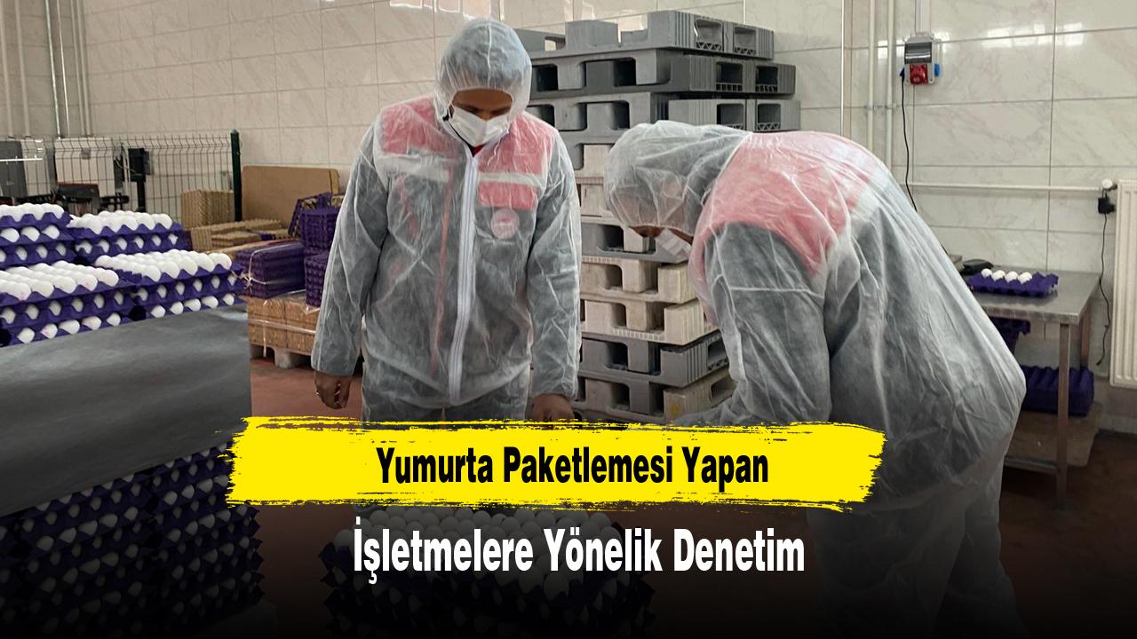 Yumurta Paketlemesi Yapan İşletmelere Yönelik Denetim