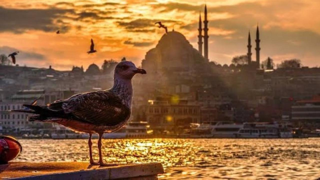 Afrika’dan Kavurucu Dalga Geliyor, Türkiye İçin Tarih Verildi!