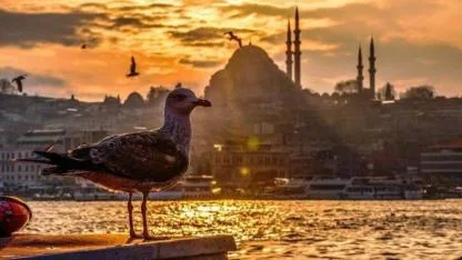 Afrika’dan Kavurucu Dalga Geliyor, Türkiye İçin Tarih Verildi!