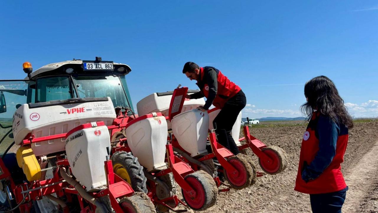 Afyon’da Dağıtılan Ayçiçeği Tohumları Toprakla Buluştu