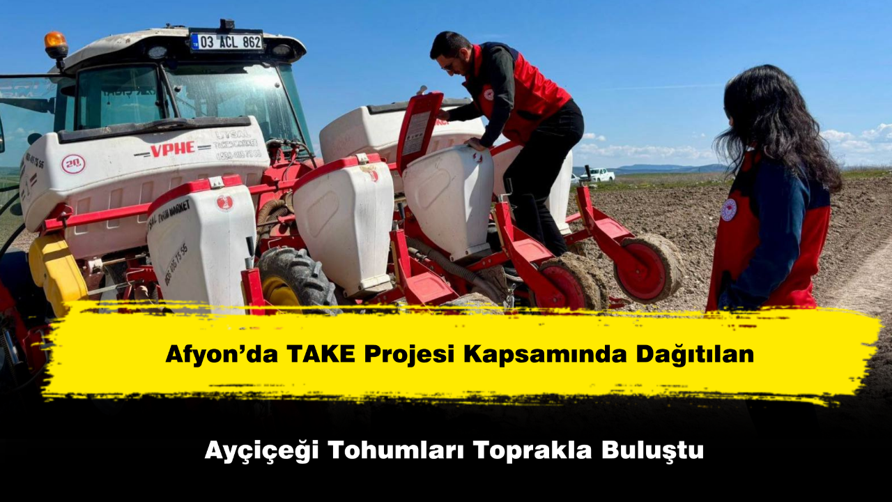 Afyon’da Dağıtılan Ayçiçeği Tohumları Toprakla Buluştu