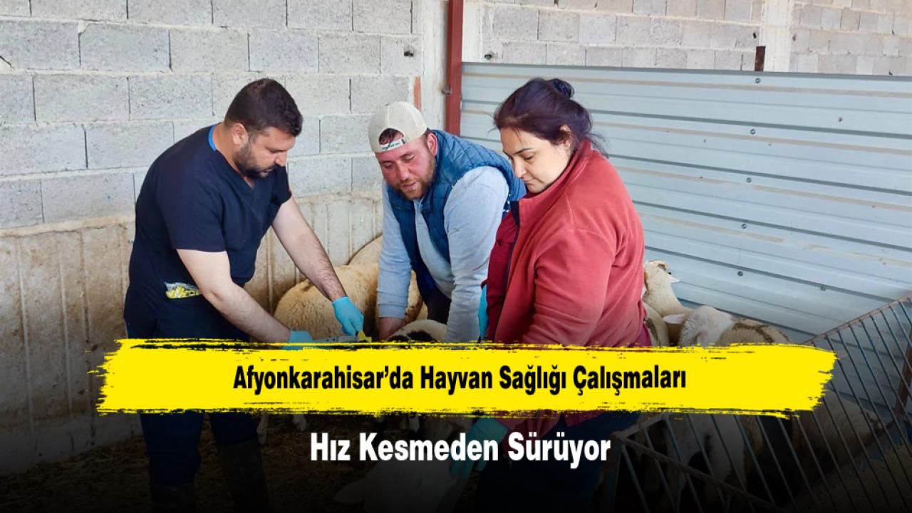 Afyonkarahisar’da Hayvan Sağlığı Çalışmaları Hız Kesmeden Sürüyor
