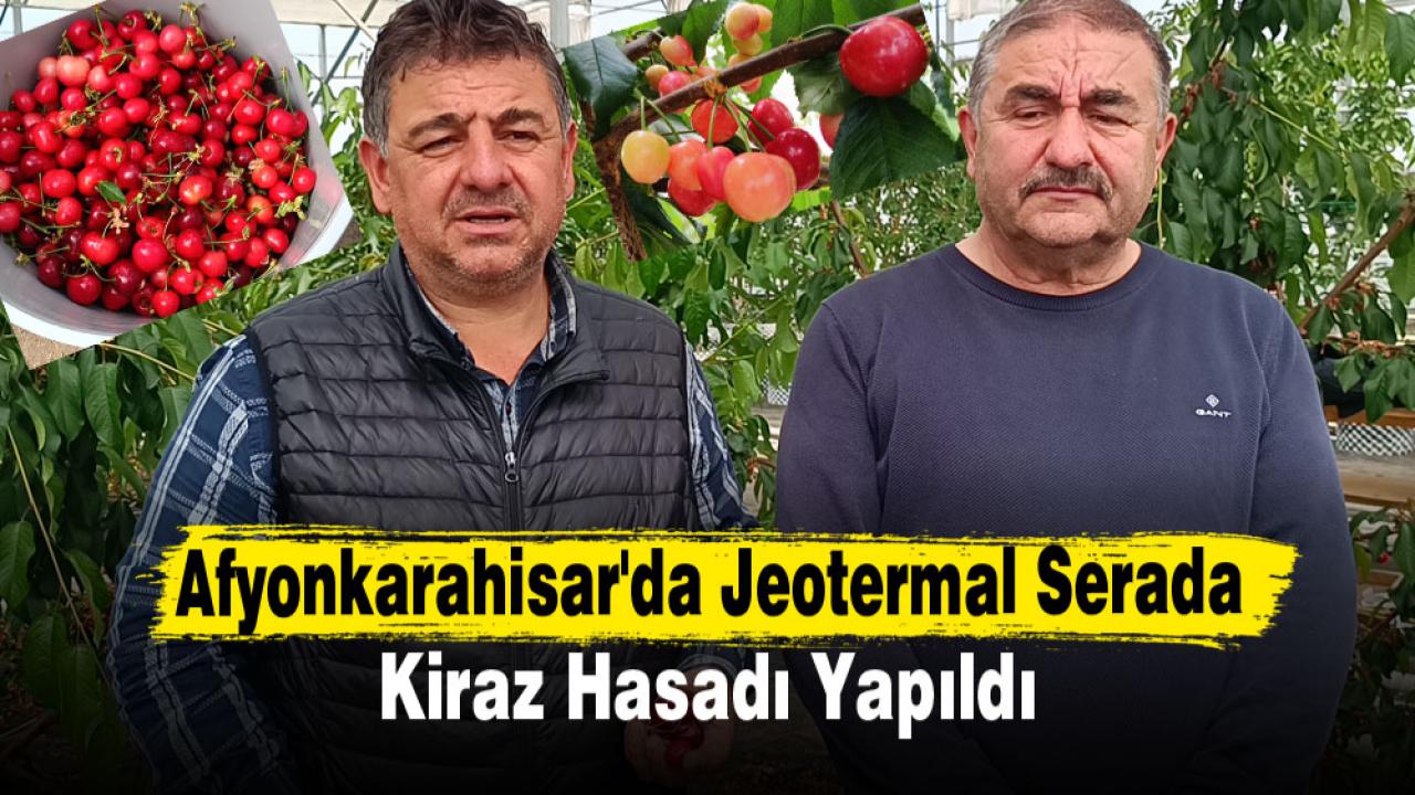 Afyonkarahisar'da Jeotermal Serada Kiraz Hasadı Yapıldı