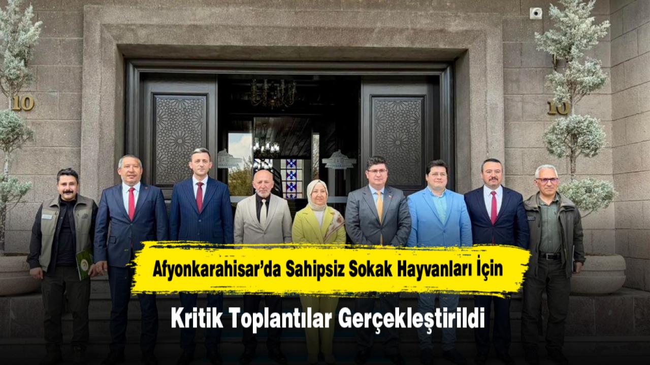 Afyonkarahisar’da Sahipsiz Sokak Hayvanları İçin Kritik Toplantılar Gerçekleştirildi